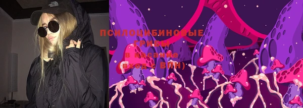 сатива Волоколамск