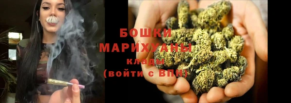 сатива Волоколамск