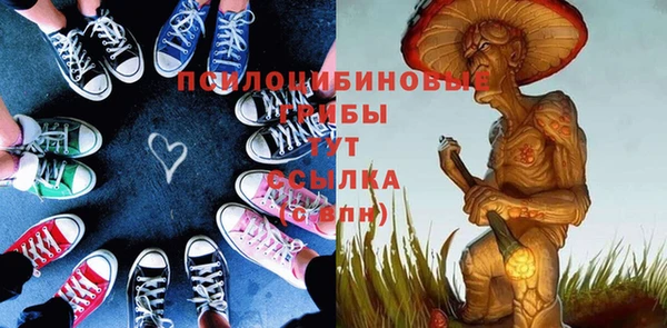 сатива Волоколамск