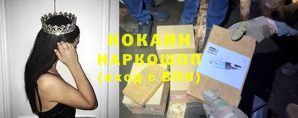 сатива Волоколамск